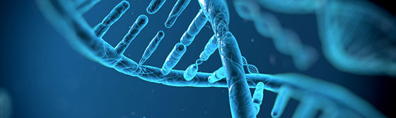 dna.560168