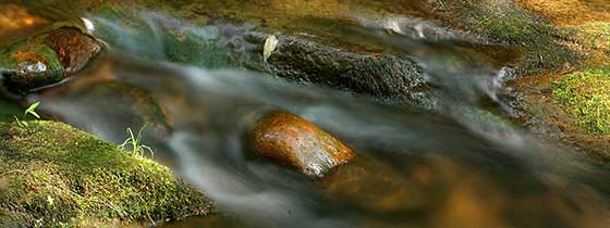 Flowing stream